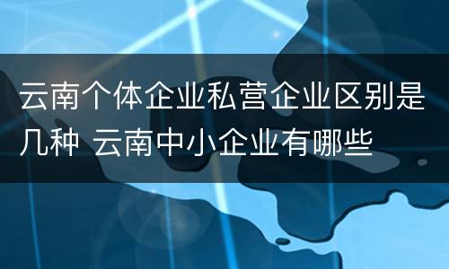 云南个体企业私营企业区别是几种 云南中小企业有哪些