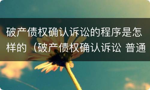 破产债权确认诉讼的程序是怎样的（破产债权确认诉讼 普通程序）