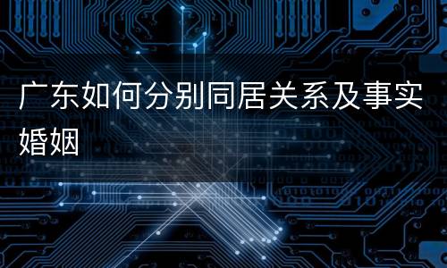 广东如何分别同居关系及事实婚姻