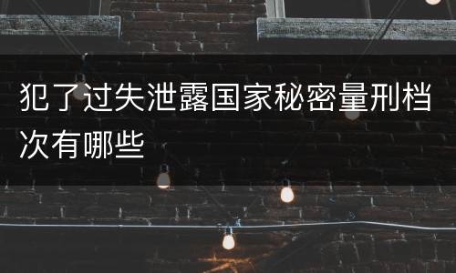 犯了过失泄露国家秘密量刑档次有哪些