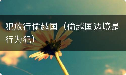 犯放行偷越国（偷越国边境是行为犯）