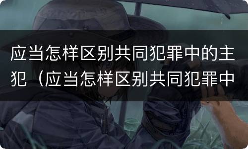 应当怎样区别共同犯罪中的主犯（应当怎样区别共同犯罪中的主犯和被犯）