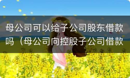 母公司可以给子公司股东借款吗（母公司向控股子公司借款吗）
