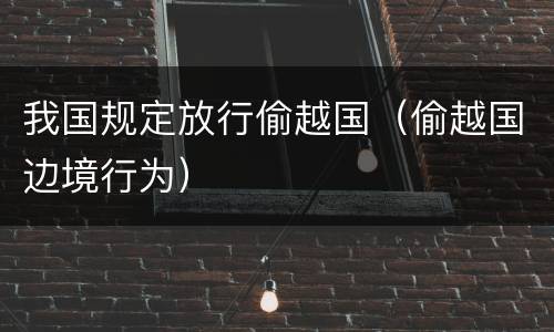 我国规定放行偷越国（偷越国边境行为）