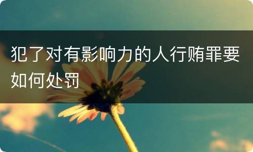 犯了对有影响力的人行贿罪要如何处罚