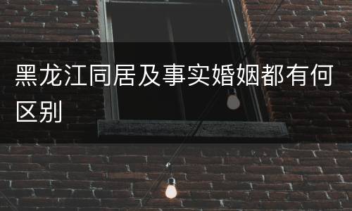 黑龙江同居及事实婚姻都有何区别