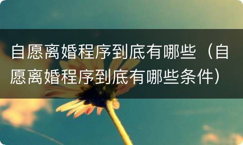 自愿离婚程序到底有哪些（自愿离婚程序到底有哪些条件）
