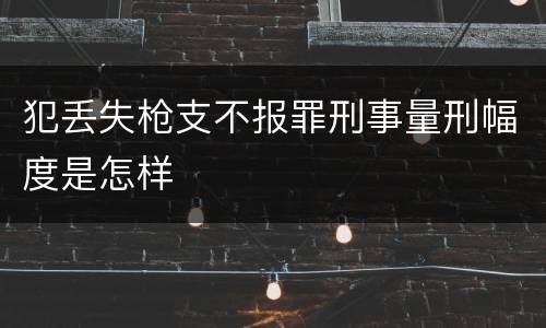 犯丢失枪支不报罪刑事量刑幅度是怎样
