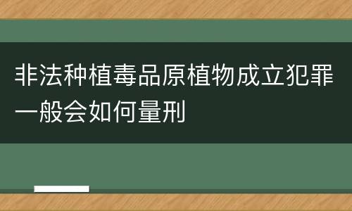 非法种植毒品原植物成立犯罪一般会如何量刑