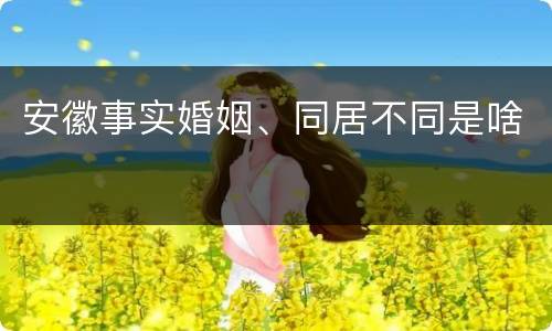安徽事实婚姻、同居不同是啥