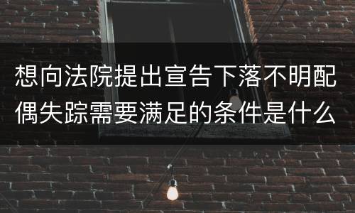 想向法院提出宣告下落不明配偶失踪需要满足的条件是什么