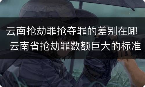 云南抢劫罪抢夺罪的差别在哪 云南省抢劫罪数额巨大的标准