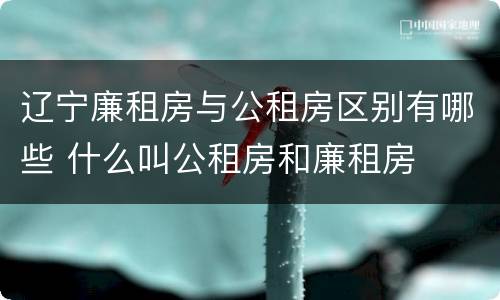 辽宁廉租房与公租房区别有哪些 什么叫公租房和廉租房