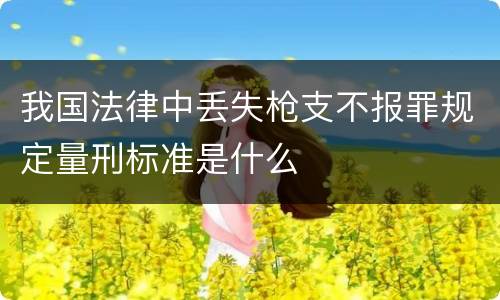 我国法律中丢失枪支不报罪规定量刑标准是什么
