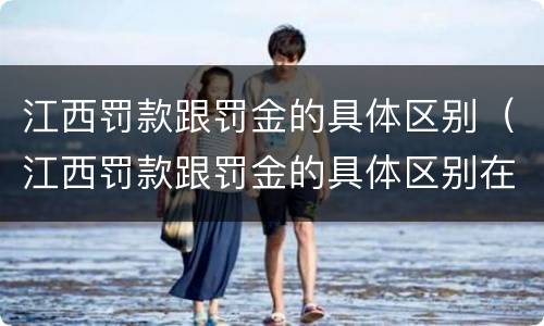 江西罚款跟罚金的具体区别（江西罚款跟罚金的具体区别在哪）