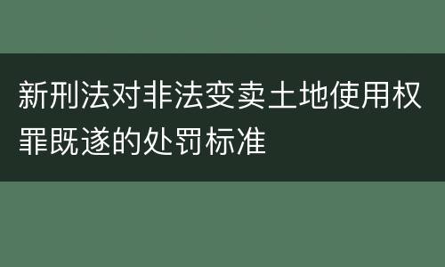 新刑法对非法变卖土地使用权罪既遂的处罚标准