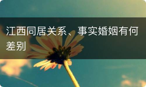 江西同居关系、事实婚姻有何差别