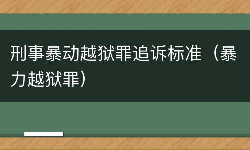刑事暴动越狱罪追诉标准（暴力越狱罪）