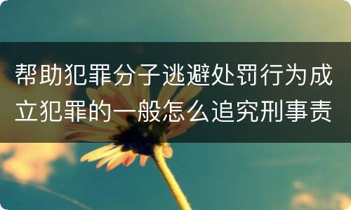 帮助犯罪分子逃避处罚行为成立犯罪的一般怎么追究刑事责任