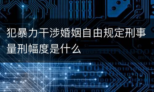 犯暴力干涉婚姻自由规定刑事量刑幅度是什么