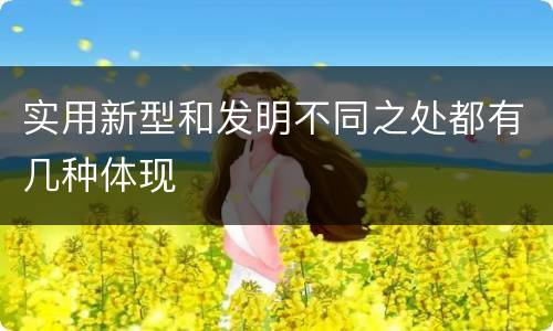 实用新型和发明不同之处都有几种体现