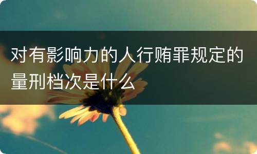 对有影响力的人行贿罪规定的量刑档次是什么