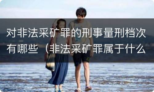 对非法采矿罪的刑事量刑档次有哪些（非法采矿罪属于什么大类）