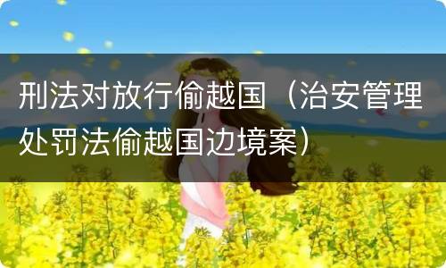 刑法对放行偷越国（治安管理处罚法偷越国边境案）