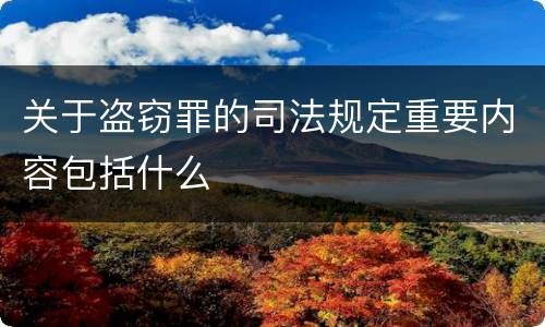 关于盗窃罪的司法规定重要内容包括什么