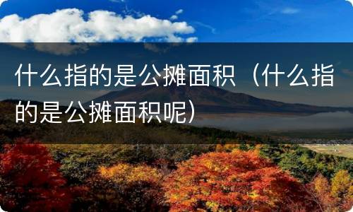 什么指的是公摊面积（什么指的是公摊面积呢）