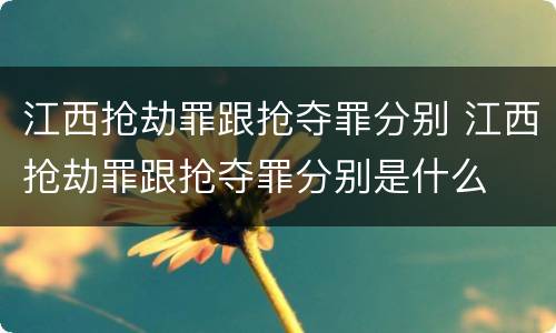 江西抢劫罪跟抢夺罪分别 江西抢劫罪跟抢夺罪分别是什么