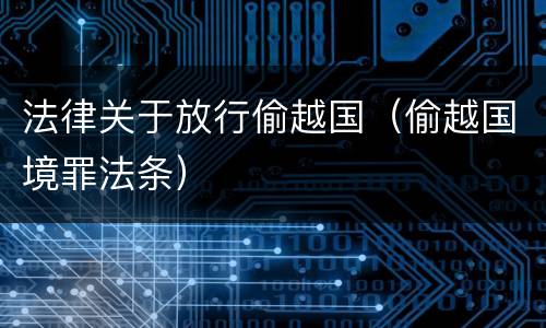 法律关于放行偷越国（偷越国境罪法条）