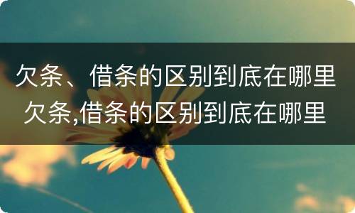 欠条、借条的区别到底在哪里 欠条,借条的区别到底在哪里看