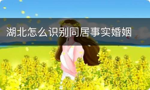 湖北怎么识别同居事实婚姻
