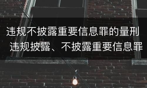 违规不披露重要信息罪的量刑 违规披露、不披露重要信息罪量刑