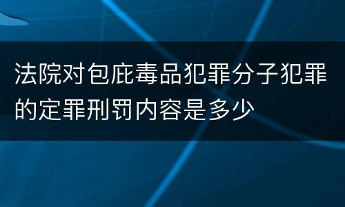 法院对包庇毒品犯罪分子犯罪的定罪刑罚内容是多少