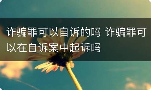 诈骗罪可以自诉的吗 诈骗罪可以在自诉案中起诉吗