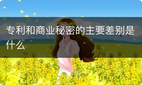 专利和商业秘密的主要差别是什么