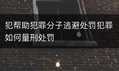 犯帮助犯罪分子逃避处罚犯罪如何量刑处罚