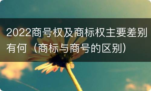 2022商号权及商标权主要差别有何（商标与商号的区别）