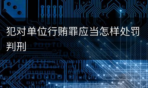 犯对单位行贿罪应当怎样处罚判刑