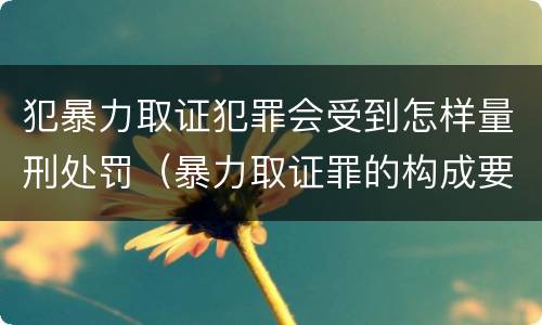 犯暴力取证犯罪会受到怎样量刑处罚（暴力取证罪的构成要件）