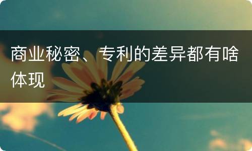 商业秘密、专利的差异都有啥体现