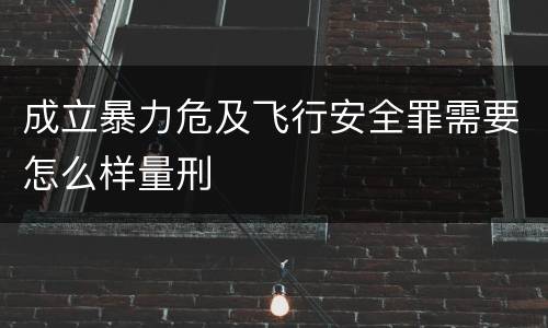 成立暴力危及飞行安全罪需要怎么样量刑
