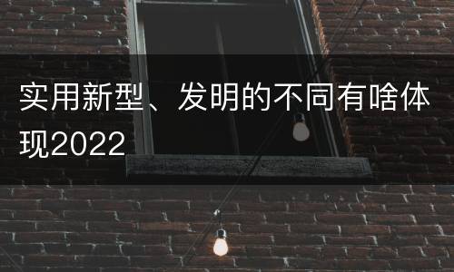实用新型、发明的不同有啥体现2022