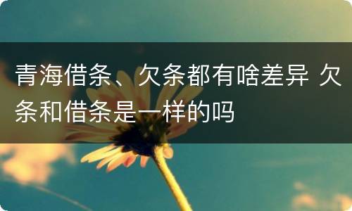 青海借条、欠条都有啥差异 欠条和借条是一样的吗