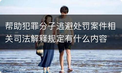 帮助犯罪分子逃避处罚案件相关司法解释规定有什么内容