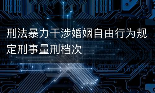 刑法暴力干涉婚姻自由行为规定刑事量刑档次