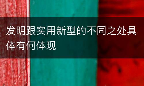 发明跟实用新型的不同之处具体有何体现
