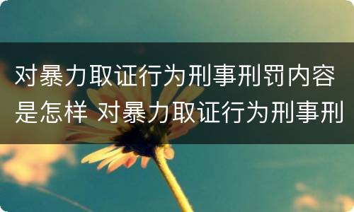 对暴力取证行为刑事刑罚内容是怎样 对暴力取证行为刑事刑罚内容是怎样处理的